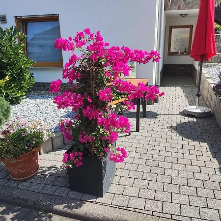 Ferienwohnung Moselzeit Alken Exterior photo