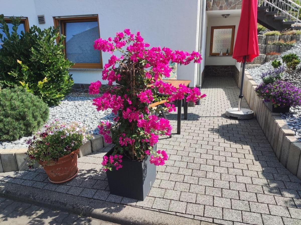 Apartment Moselzeit