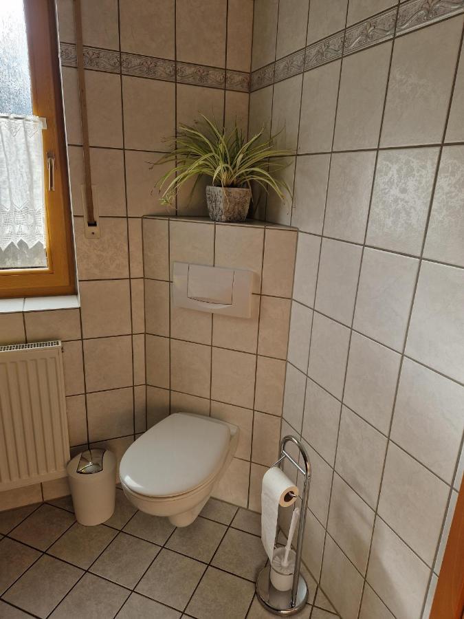 Moselzeit Apartment *