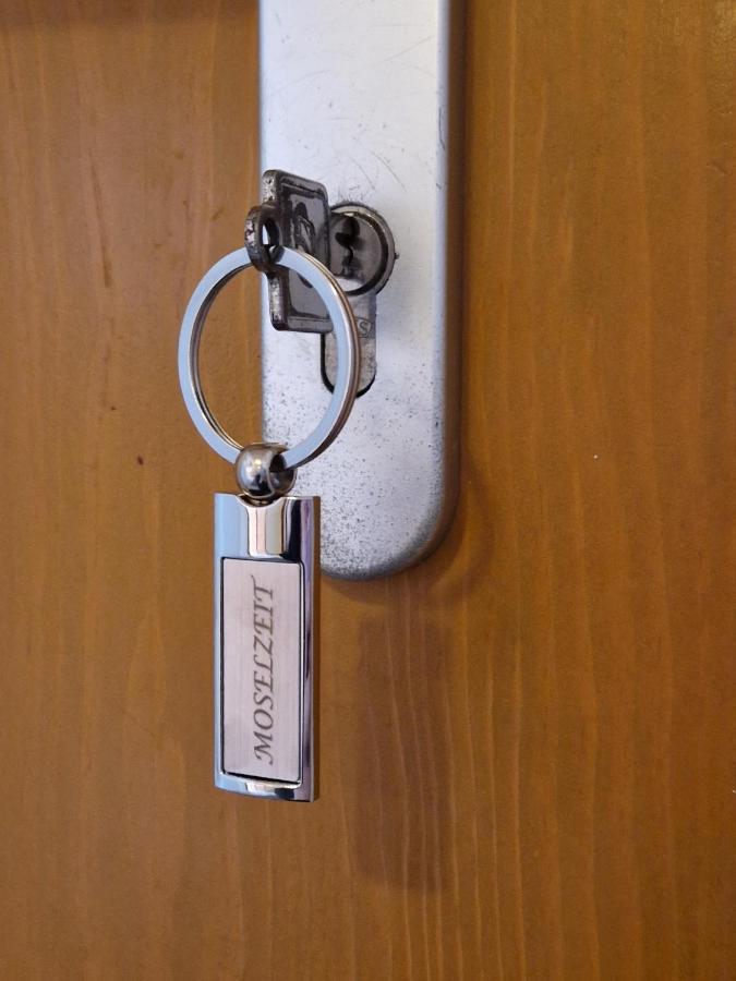 Apartment Moselzeit *